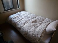 ベット