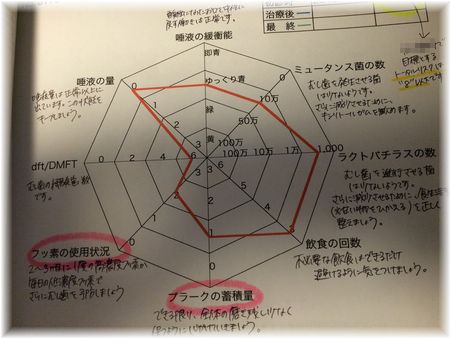 う蝕レーダーチャート.jpg
