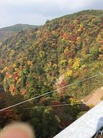 写真 2013-11-04 13 29 41.jpg
