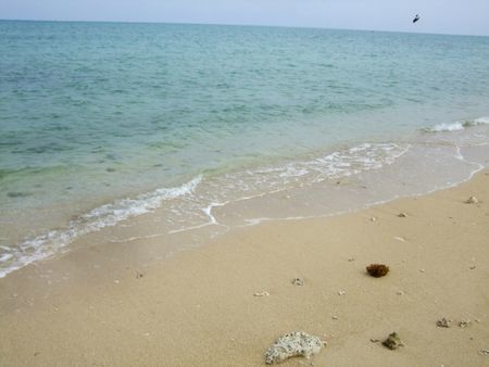 百名ビーチの白い砂浜と青い海.jpg